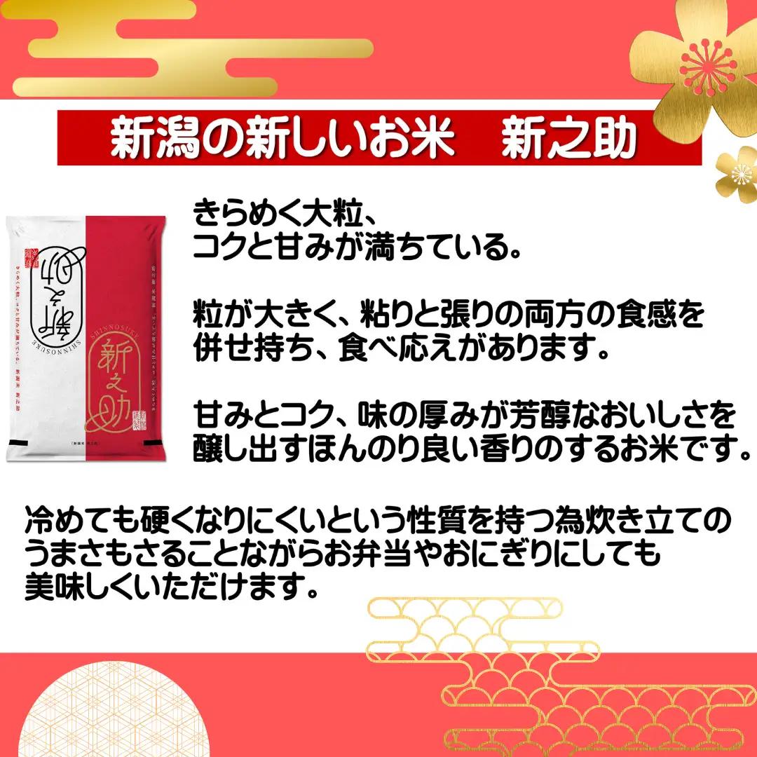 【令和8年産新米予約】【12ヶ月定期便】 新之助 5kg×12回 計60kg 白米 精米 井上米穀店 新潟県 米 こめ コメ  新米 新米予約 令和8年度産 11月上旬より順次発送予定 1I22121