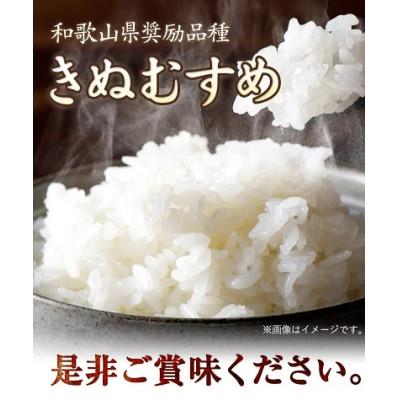 ふるさと納税 紀の川市 前田農園のキヌムスメ 20kg 10kg×2  和歌山県紀の川市【白米】 |  | 03