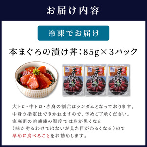 【A9-026】鷹島産本まぐろ 特製醤油に漬け込んだ本まぐろ漬け3人前（本マグロ 本まぐろ マグロ 鷹島産 海鮮 まぐろ 漬け丼 魚介類 大トロ 中トロ 赤身 松浦 海鮮丼 丼 セット 本格的）