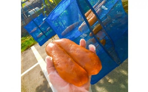 【数量限定】創業100年の日本料理店が作る 1段重 おせち(3人前) 冷蔵 2026年 創業大正九年 日本料理 小伴天 料亭 伊勢海老 アワビ うなぎ 数の子 栗きんとん からすみ いくら 贈り物 お