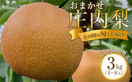 
            【その時の旬をお届け！】おまかせ庄内梨 3kg(4～8玉) 【2025年9月上旬頃より発送】
          