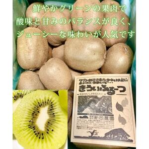 紀州かつらぎ山のキウイフルーツ約3kg【1489650】