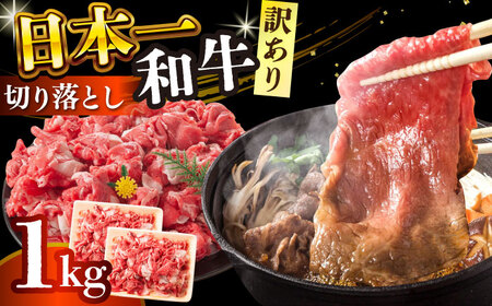 【訳あり】【A4～A5】長崎和牛焼肉切り落とし(肩ロース・バラ）　1kg（500g×2p）【株式会社 MEAT PLUS】[DBS004]