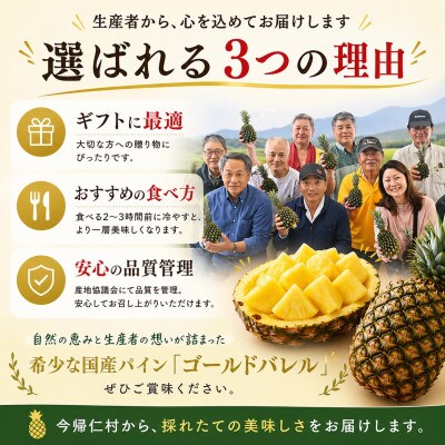 【2027年6月下旬から順次発送】今帰仁村パイン産地協議会 ゴールドバレル1.8kg(1～2玉)【配送不可地域：離島】