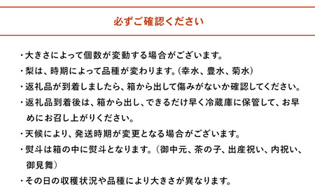 【先行予約】糖度計使用 梨詰め合わせ 5kg (約10個前後) なし 幸水 豊水 菊水 フルーツ くだもの ギフト プレゼント 贈答品 大分県産 九州産 中津市