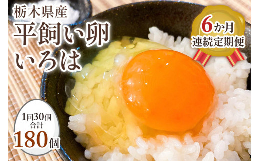 【定期便6回】全体的に甘みとコクのある黄身が特徴 ワタナベファームの優等生な末っ子【平飼い卵いろは】 (毎月お届け）