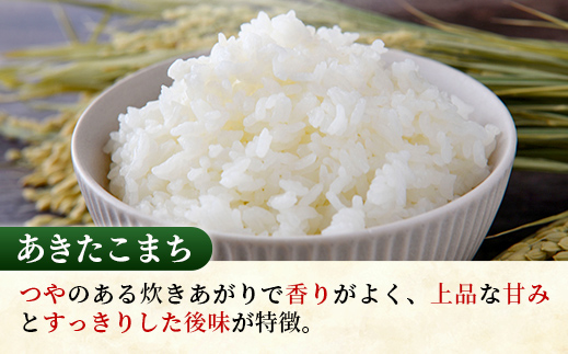 【新米先行受付】☆令和6年産☆『あきたこまち』精米10kg(5kg×2袋) 出荷日に合わせて精米 【2024年9月上旬より発送開始】あきたこまち 人気 銘柄 茨城県産 数量限定 家計応援 家庭用 茨城