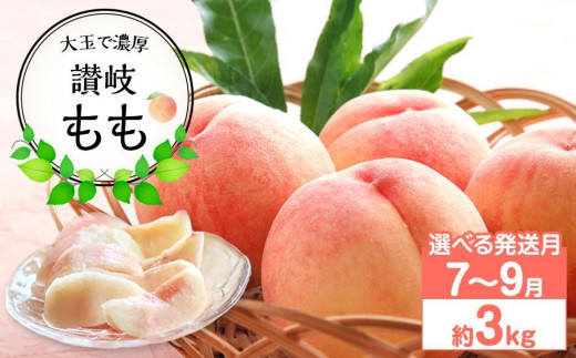 
                  【先行予約】大玉で濃厚な讃岐もも 約3kg 7月～9月出荷 品種おまかせ 桃
                