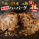 【ふるさと納税】 ハンバーグ 牛肉 豚肉 1.2kg 2.4kg 3.6kg 選べる 容量 定期便 個包装 化学調味料 不使用 保存料 無添加 合挽き 冷凍 小分け 真空 大容量 大きめ 肉汁 たっぷり 淡路島 玉ねぎ ビーフ ポーク 牛 豚 肉 合いびき肉 挽肉 ごはん のお供 贅沢 ギフト お歳暮