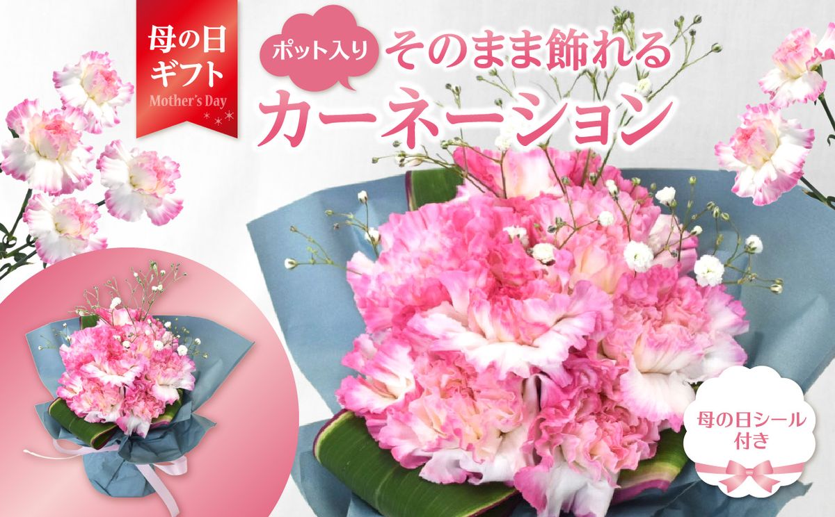 【R07012-H】【母の日ギフト】季節の生花花束 そのまま飾れるブーケ 赤とピンク12本 カスミ草付き ポット付き≪5月11日お届け≫