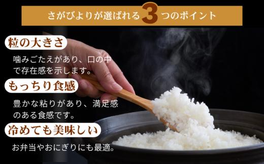 【先行予約】【新米】令和8年 佐賀県産「さがびより」5kg _1月発送：A095-061-03