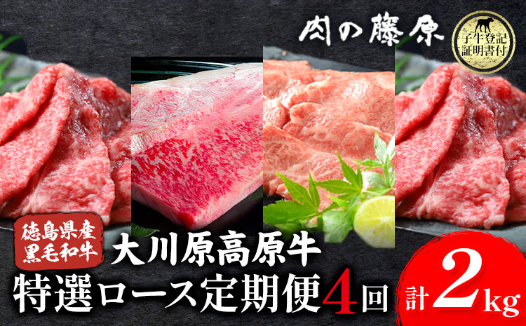 《定期便》全4回お届け！大川原高原牛 特選ロース(しゃぶしゃぶ・ステーキ・焼肉・スライス 各500gずつ) 株式会社肉の藤原 《お申込み月翌月から出荷開始》牛肉 定期便 月1回 徳島県 佐那河内村 s-7