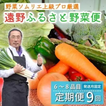 【発送月固定定期便】遠野ふるさと野菜便 野菜ソムリエ 厳選 詰め合わせセット 岩手県遠野市全9回【配送不可地域：離島】【4092654】