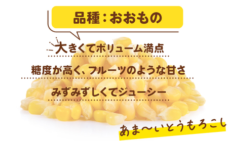 先行予約 とうもろこし おおもの 約5kg 銚子産 朝採れ ﾄｳﾓﾛｺｼ ﾄｳﾓﾛｺｼ ﾄｳﾓﾛｺｼ