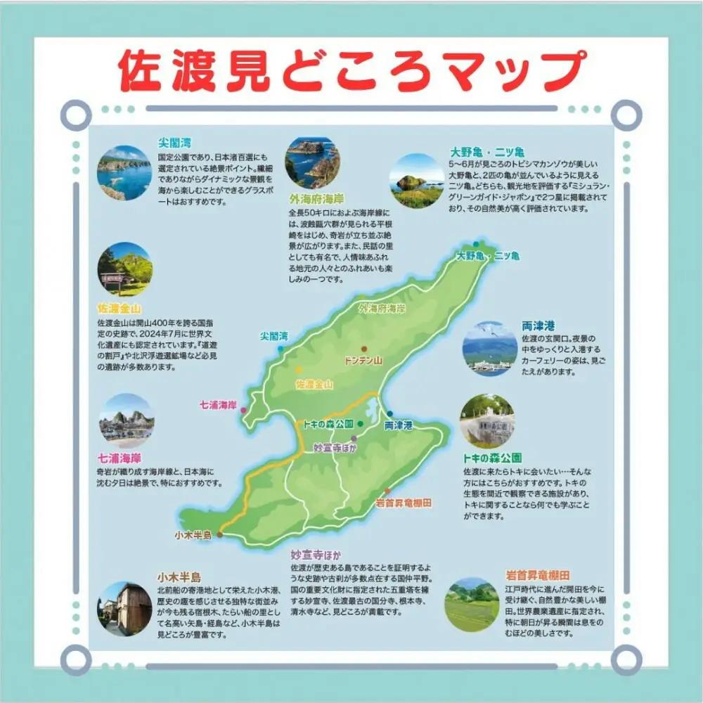【新潟県佐渡】おけさ観光タクシー＜ヴェルファイア＞で巡る佐渡！5時間観光プラン ラグジュアリーハイヤー