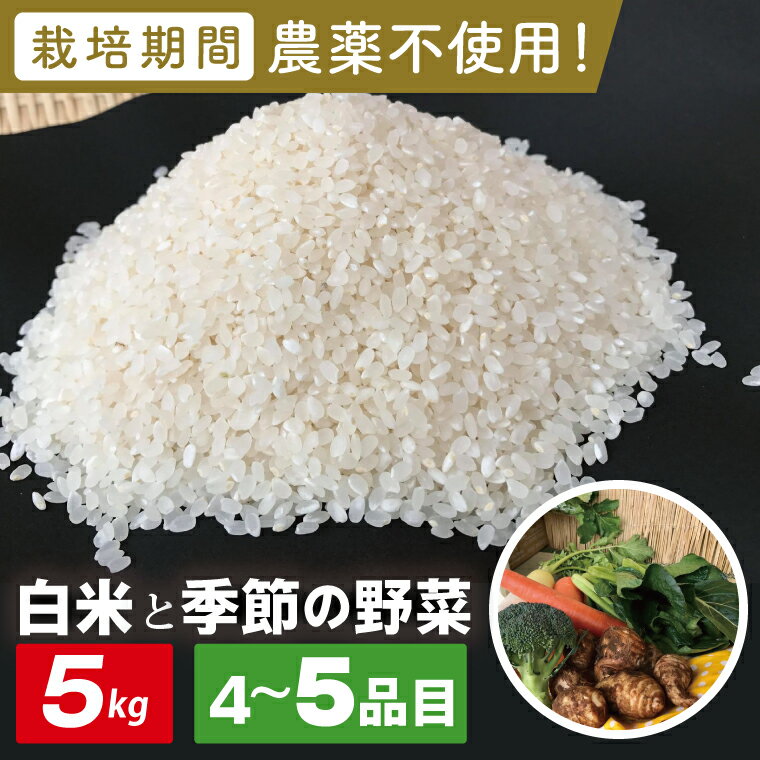 【ふるさと納税】【身体が喜ぶ野菜】白米5kgと季節の野菜(おまかせ4〜5品)(茨城県共通返礼品／潮来市)｜米 お米 こめ 白米 野菜 野菜セット 栽培期間農薬不使用 無農薬 減農薬 茨城県共通返礼品 共通返礼品 茨城県 潮来市 行方市(BI-109)