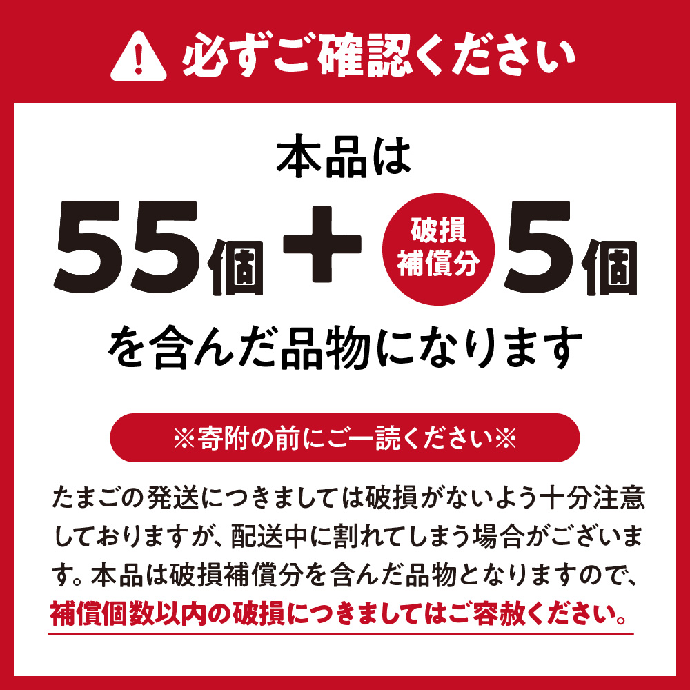 JAむなかたよりお届け！宗像たまご60個（55個＋補償5個）【JAほたるの里】_HA0916