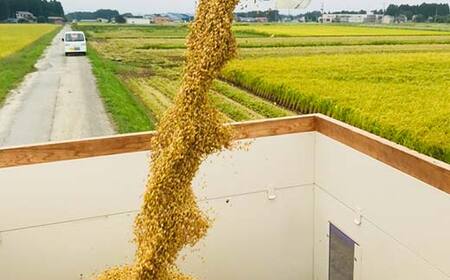 【先行予約】 令和6年産 極みのササニシキ（精米） 5kg 米 お米 おこめ 山形県 新庄市 F3S-2160