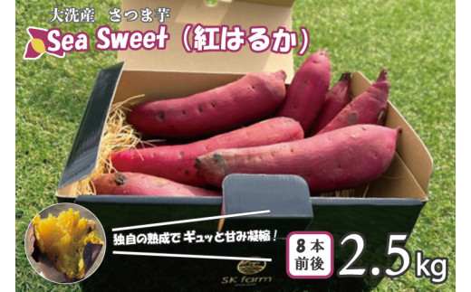 
大洗産 さつまいも 紅はるか 2.5kg （8本前後） 「Sea Sweet」 長期熟成 茨城県産 サツマイモ 土付き 生芋 芋 さつま芋 薩摩芋 甘藷 べにはるか
