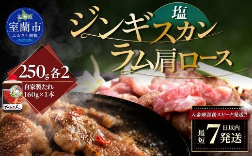 塩ジンギスカン250g×2 ラム肩ロース250g×2 セット 【 ふるさと納税 人気 おすすめ ランキング 室蘭 塩ジンギスカン 味付けジンギスカン ジンギスカン 塩 味付け タレ ラム 生ラム 羊 肩ロース 肉 焼肉 BBQ 大容量 詰合せ 贈り物 北海道 室蘭市 送料無料 】 MROA288