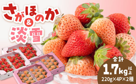 【R8年1月以降発送】紅白いちごセット（淡雪・さがほのか ） 計1.7kg以上（各220g×4パック） 【岸川農園】[IAP049]