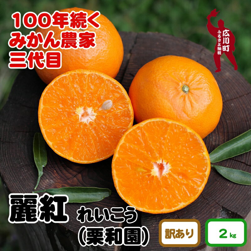 【ふるさと納税】 麗紅 約 2kg (訳あり) 和歌山県 有田産 香り高い柑橘 ※2月中旬頃～3月下旬頃に順次発送予定 7000円 / れいこう みかん くだもの 果実 蜜柑 柑橘 果物 フルーツ 国産 和歌山県 有田 //dekopon