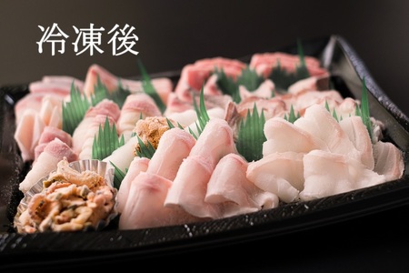 定期便 刺身 新鮮 盛り合わせ 仙崎 「旬のお刺身盛合せ」刺盛 地魚 2-3人前 急速冷凍 長門市 毎月発送 全3回 (1409)