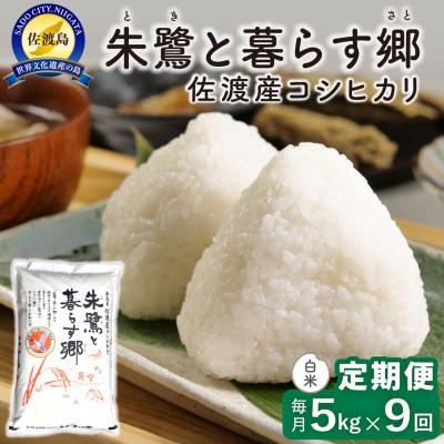 ふるさと納税 佐渡市 【毎月定期便】佐渡島産 朱鷺と暮らす郷(コシヒカリ) 白米5kg 特別栽培米　全9回