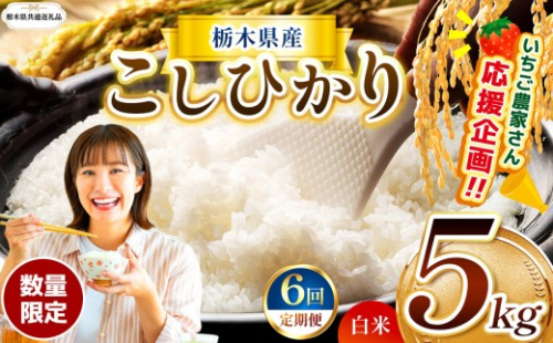 【栃木県共通返礼品】【先行予約】【定期6回】数量 限定 訳あり 定期便 令和8年度 栃木県産 コシヒカリ 約 5kg | 数量限定 こしひかり 精米 白米 米 ごはん おいしい 密閉パック ふるさと納税 那珂川町 栃木県
