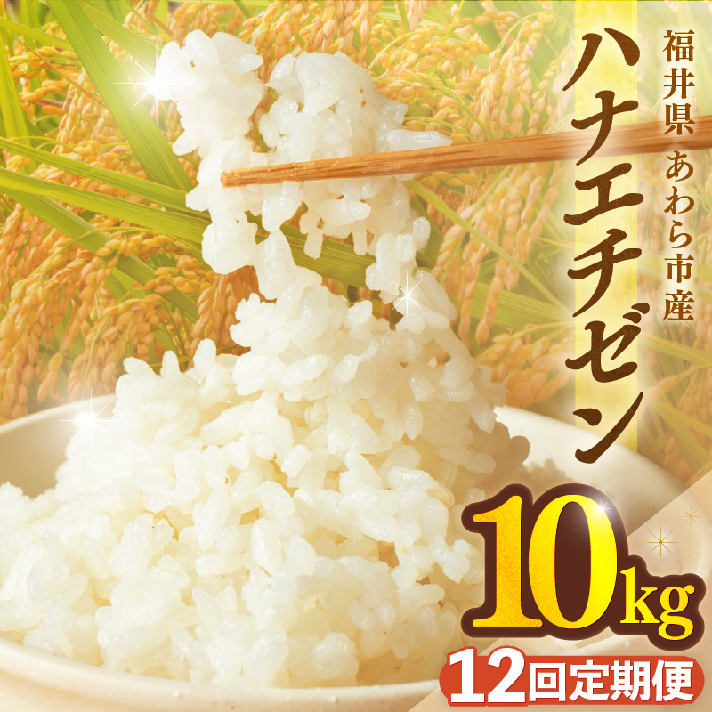 【先行予約】【令和8年産】定期便≪12ヶ月連続お届け≫ハナエチゼン 精米 10kg（計120kg）（長谷川農園） / 北陸 福井県産 あわら市 ブランド米 白米 お米 コメ ※2026年10月より順次