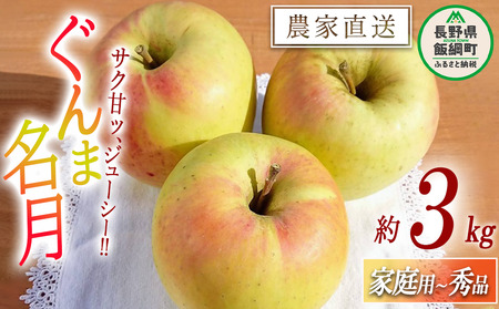 りんご ぐんま名月 家庭用  秀 3kg やまじゅうファーム 沖縄県への配送不可 2024年11月下旬頃から2024年12月上旬頃まで順次発送予定 令和6年度収穫分 信州の環境にやさしい農産物 減農薬栽培 長野県 飯綱町 [1539]