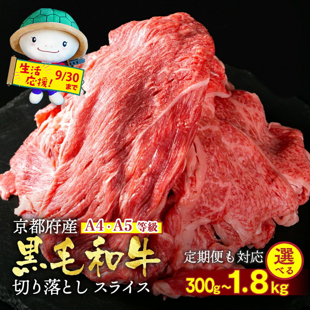 【月間MVP受賞】【緊急支援】京の肉 ひら山 厳選 京都府産黒毛和牛 切り落とし 500g＋100g増量【計600g】≪訳あり コロナ支援 和牛 牛肉 亀岡牛 京都肉 京都 冷凍 楽天限定≫（クラウドファンディング対象）