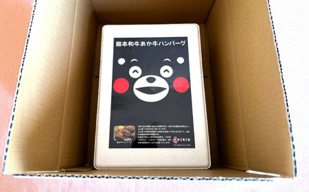 【全3回定期便】くまモンハンバーグセット（あか牛100％使用） / 菊陽町 あかうし 熊本県 肉 にく niku ブランド 旨み【有限会社　三協畜産】[BHAS057]