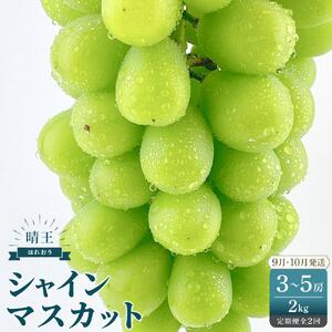 2026年　先行予約　受付中　シャインマスカット　晴王　約2kg（3～5房）　２回　定期便　　9月・10月に1回ずつ発送　【岡山県産 種無し 皮ごと食べる みずみずしい 甘い フレッシュ 9月～10月発送 晴れの国 おかやま ぶどう 葡萄 マスカット 果物大国 彩美菜果 岡山県 岡山市 おすすめ 人気】