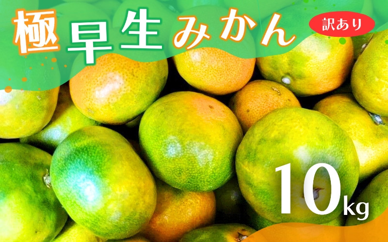 
【2024年秋頃発送予約分】【訳あり】こだわりの極早生みかん 約10kg ※2024年10月上旬より順次発送予定（お届け日指定不可） 有機質肥料100% サイズ混合 有田産【nuk166】
