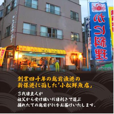 ふるさと納税 越前町 地元鮮魚店厳選 【訳あり】 ≪浜茹で≫ 足折れ 越前がに 中サイズ 1杯【3月発送分】 |  | 03