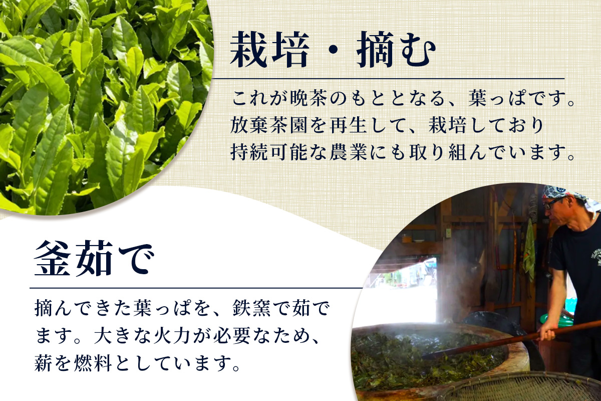 湯浅茶園 阿波晩茶 250g YT-1【徳島県 那賀町 徳島 那賀 阿波晩茶 相生晩茶 番茶 国産 生産者直送 乳酸菌 特産品 発酵茶 お茶 茶葉 赤ちゃん 子供 妊婦さん お取り寄せ お土産 伝統製