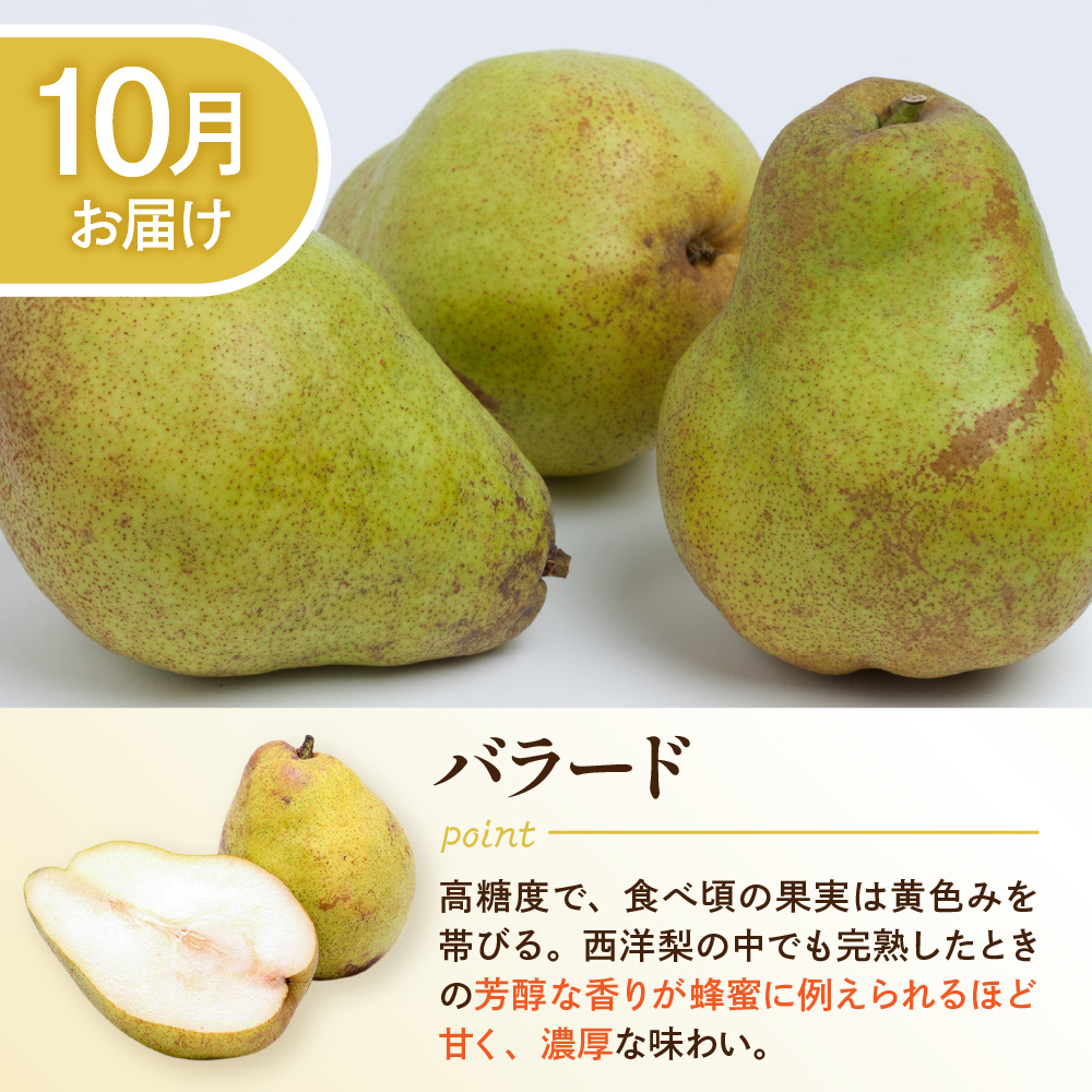 【令和7年産 先行予約 5回定期便】西洋梨食べ尽くし定期便 東根農産センター提供 hi027-201-2
