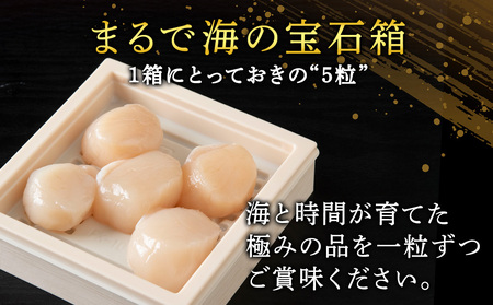 熟成濃縮ほたて貝柱(5玉入)×5