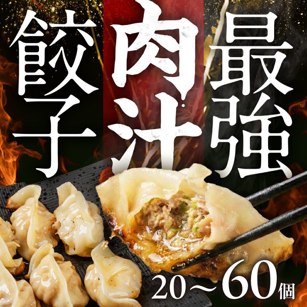 【ふるさと納税】＼メディアで話題！／ 最強肉汁餃子 20個～60個 選べる 餃子 冷凍餃子 惣菜 ギョーザ ぎょうざ 20個 40個 60個 中華 簡単調理 簡単 人気 ランキング 肉汁 美味しい 国産素材 豚肉 豚 ギフト 贈答 もっちり 冷凍惣菜 お惣菜 つまみ 送料無料 愛知県 豊橋市