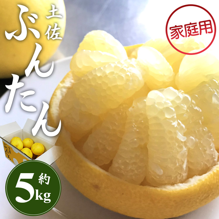 【ふるさと納税】【先行予約】訳あり 土佐文旦 約5kg (家庭用 2L～4Lサイズ) - 期間限定 柑橘類 果物 くだもの フルーツ ぶんたん ブンタン おいしい 美味しい ジューシー 果実 果汁 ほろ苦い ご自宅用 ぷりぷり 送料無料 間城農園 高知県 香南市【常温】ms-0039