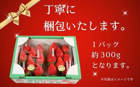 いちご やよいひめ 約300g×2パック 計600g 先行予約【1月下旬～4月下旬に順次出荷予定】 
