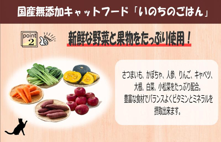 国産無添加 キャットフード 500g「いのちのごはん」タンパク質 50％配合タイプ【猫 ねこ ペットフード チキン 手作り ヒューマングレード 国産】