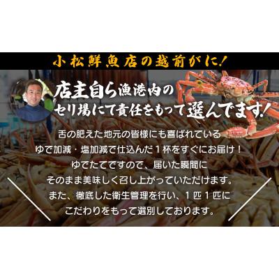 ふるさと納税 越前町 【訳あり】足折れ 越前がに 大きめサイズ × 1杯(800〜900g)【2024年12月発送分】 |  | 01