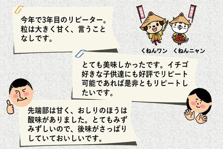 【先行受付 令和8年1月より発送開始】香月さんちのいちご(さがほのか)280g×4パック【いちご イチゴ 苺 さがほのか 大玉 大粒フルーツ 果物  数量限定 香月農園 佐賀県産】(H017116)