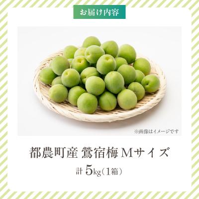 ふるさと納税 都農町 先行受付≪期間限定≫都農町産「鶯宿梅(Mサイズ)」計5kg 梅 梅干し 果物 国産_T008-013 |  | 03