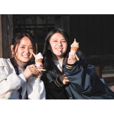 徳山牧場アイス工房の搾りたてミルクでつくるジェラート4個セット【配送不可地域：離島】【1423324】