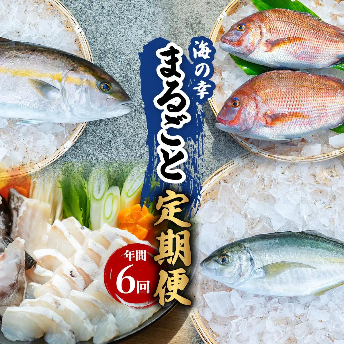 【定期便全６回】海の幸まるごと定期便 クエ くえ クエ鍋 タイ たい 鯛 カンパチ かんぱち 勘八 シマアジ しまあじ 伊勢海老 いせえび イセエビ
