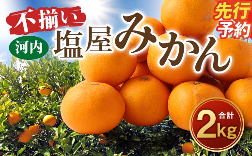 ＜ R8年熊本地震復興支援 ＞＜2026年12月発送予定＞【不揃い】選べる 河内 塩屋みかん 2kg 青島みかん 熊本 国産 みかん 蜜柑 ミカン 果物 くだもの フルーツ