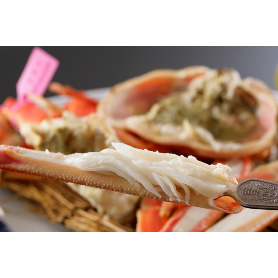 【もったいない！を食べよう】＜北畿水産＞山陰沖「ゆで松葉蟹」（1kg～1.1kg/超特大サイズ）【12月出荷分】